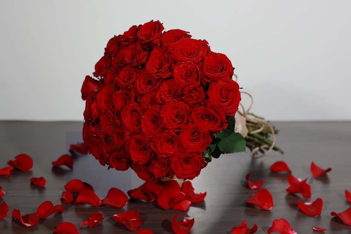Premium red roses sourced from Multiflora market