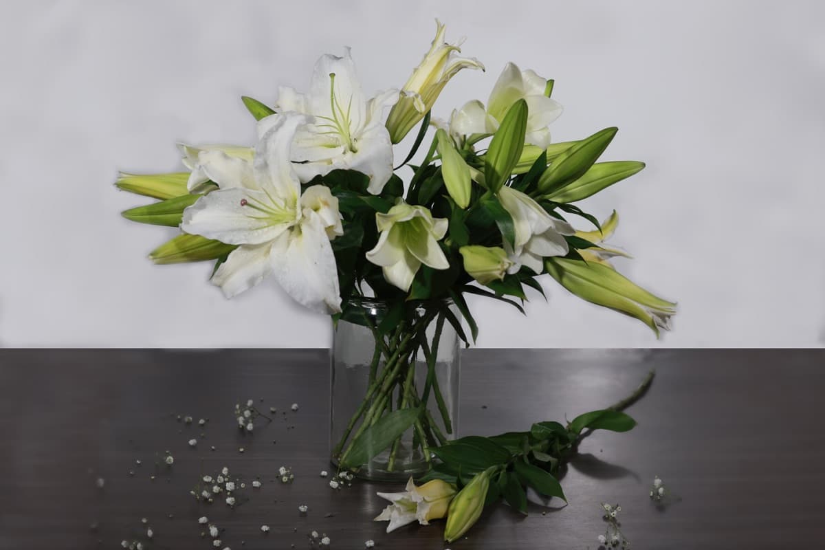 Elegant white lilies arranged in a glass vase