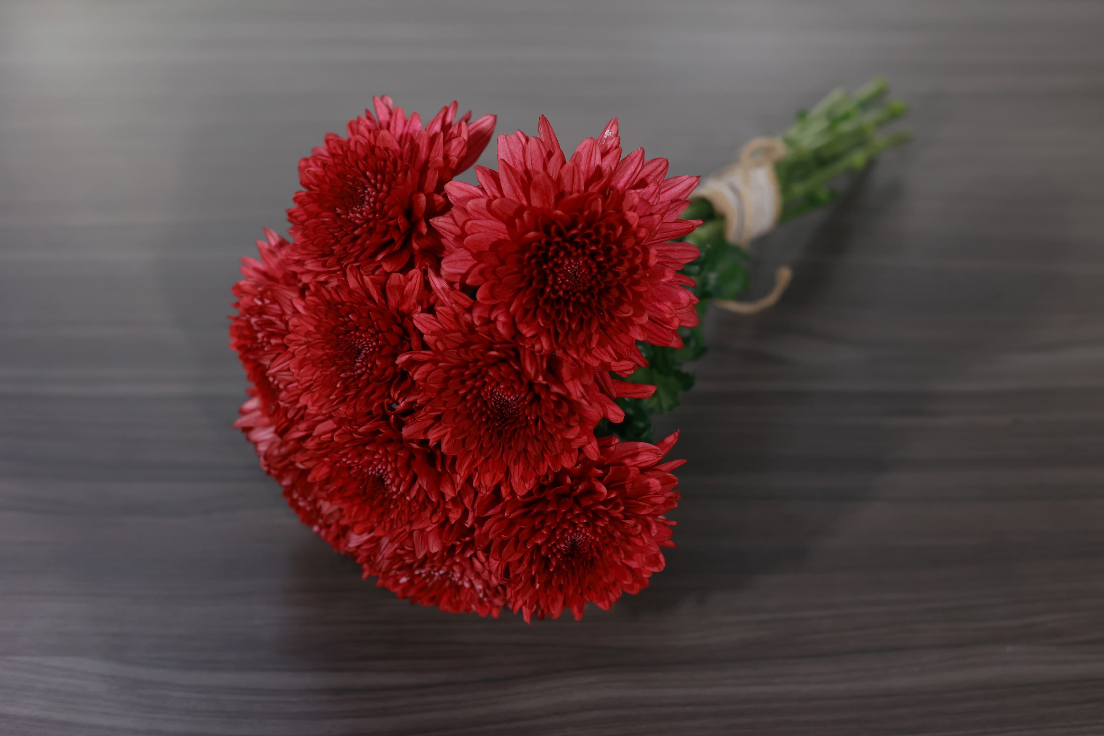 Burgundy Chrysanthemum Bouquet — photo 1
