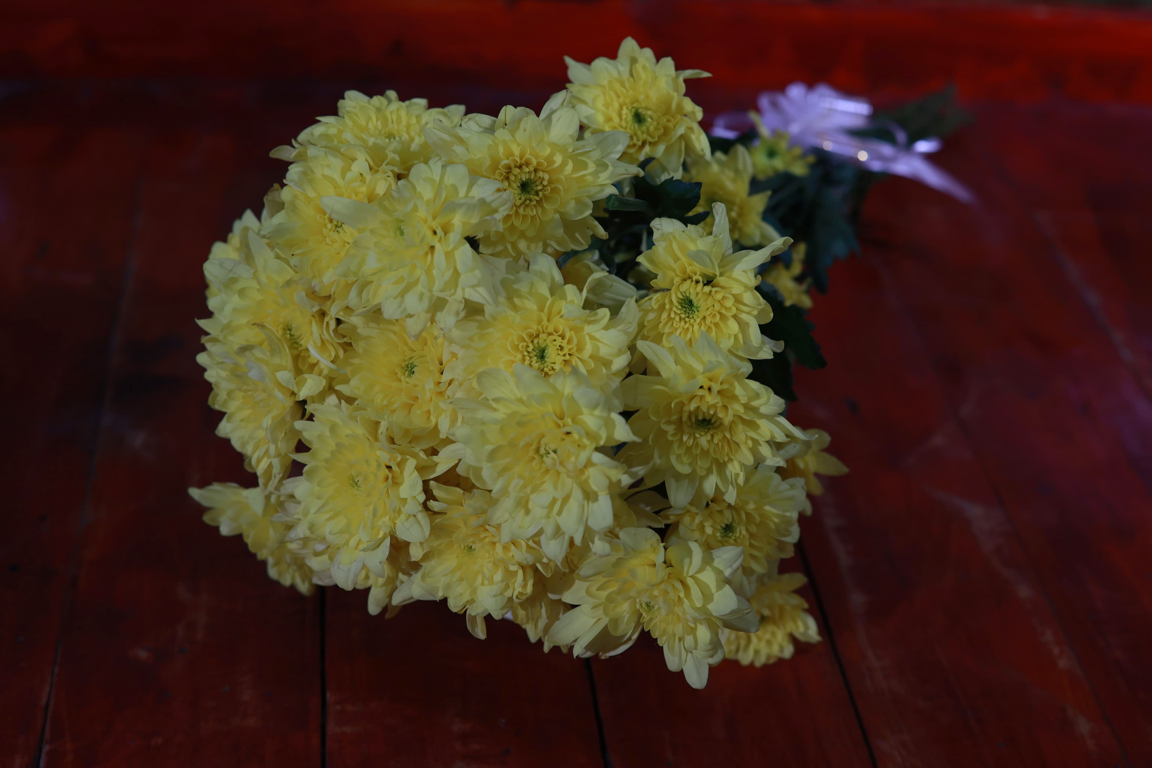 Chrysanthemums — bouquet 3